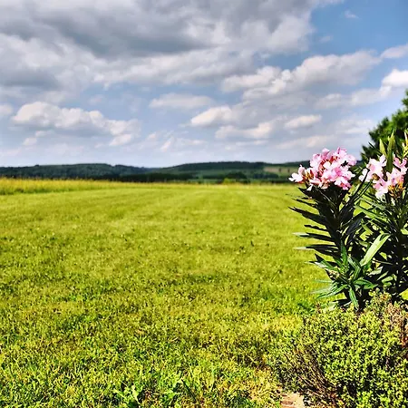 Countryside Holiday In Mont With Terrace And Garden *